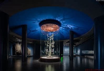 VR全景在教育中的互動性與學習體驗提升及其在手繪地圖中的應用